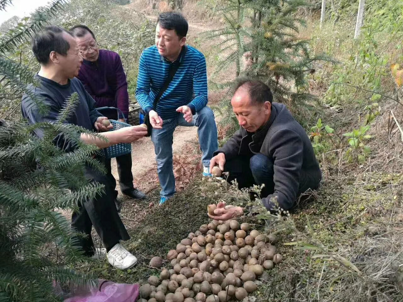 1510133318685076941.png 1.png