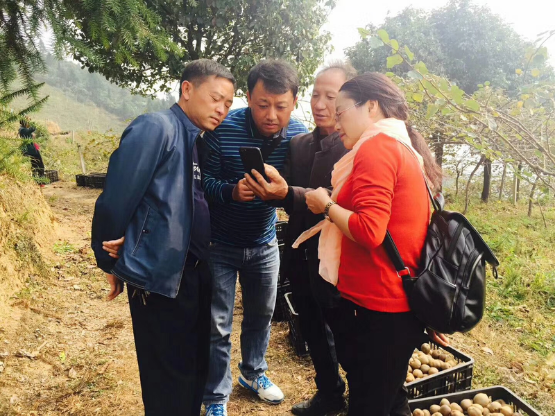 1510133327327025752.png 2.png