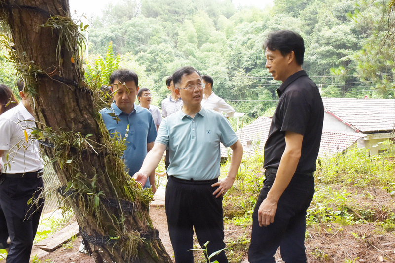 1626962544236065513.jpg DSC_8656.jpg