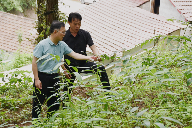 1626962574999098603.jpg DSC_8676.jpg