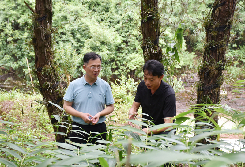 1626962597947057874.jpg DSC_8688.jpg