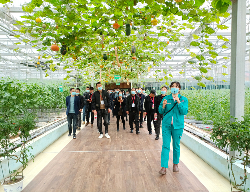 实地参观九丰农博园.jpg