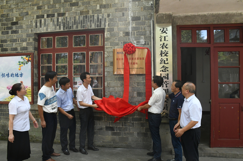 1690252728586060343.jpg DSC_2868.jpg