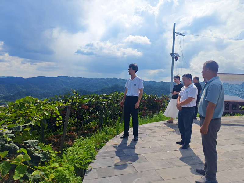 1752305193347049294.jpg 887e05b138c299dc8ebd3831c6c5529.jpg