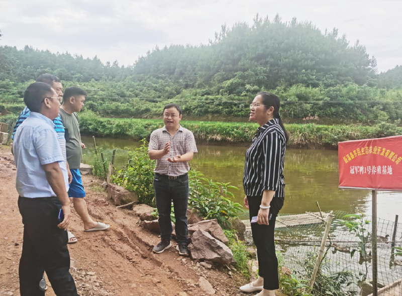 1757344781191010613.png 图片3.png